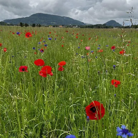 Im Grünen Allerheiligen bei Wildon